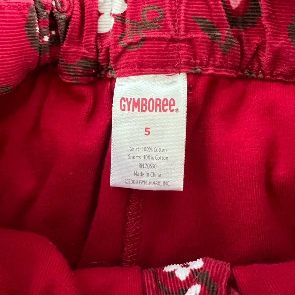 Gymboree Shirt & Skirt Size 5
